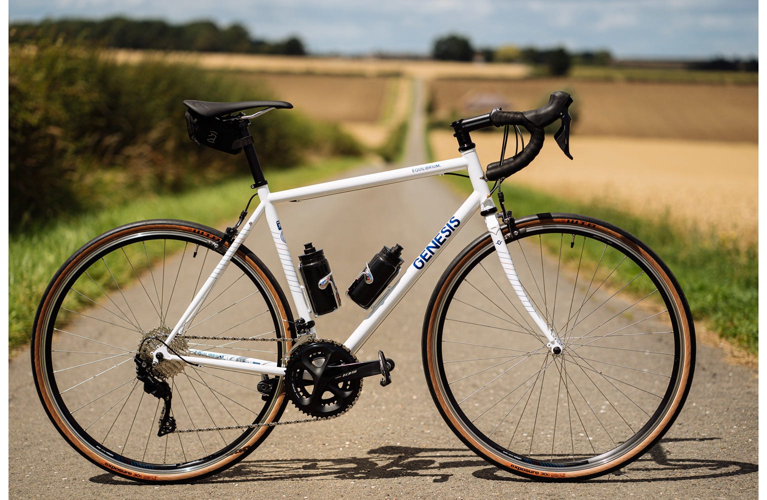 Genesis steel road bike outlet